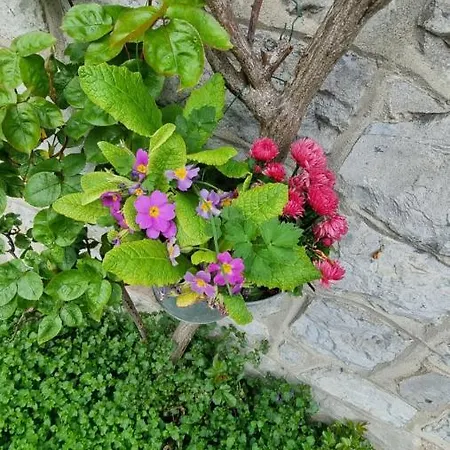 Le De La Gray House Apartman Mettet