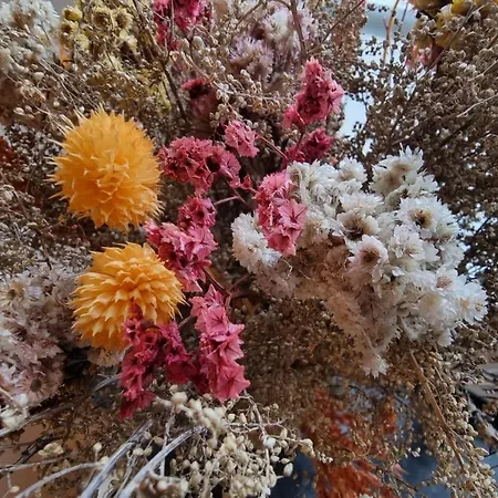 Apartamento Le De La Gray House Mettet